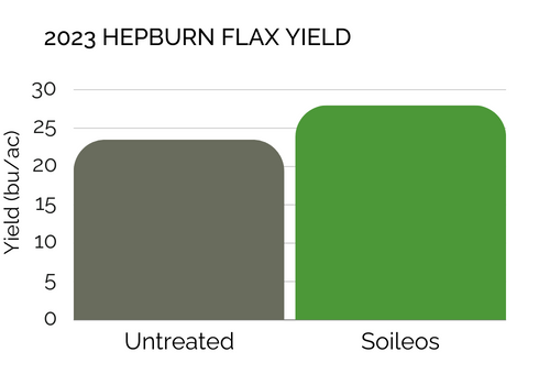 2023 Hepburn Flax