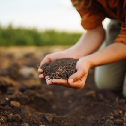 How slow-release micronutrient fertilizer Soileos Works. Soileos’ patented slow-release technology uses nutrient enhanced cellulose to ensure crops like cereals, corn, soybeans, pulses and canola receive steady, season-long nutrition for optimal growth and yield.