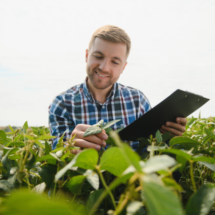 Man In Soy Field (4)