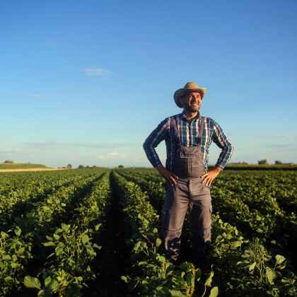 Soileos granular fertilizer designed to address nutrient deficiencies in soybeans. Boosts crop yield and soil health with slow-release zinc, iron, and manganese solutions.