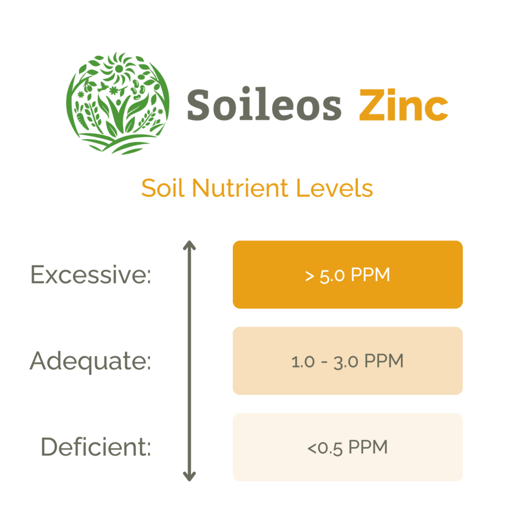 Soileos Zinc Deficiency Card (2)