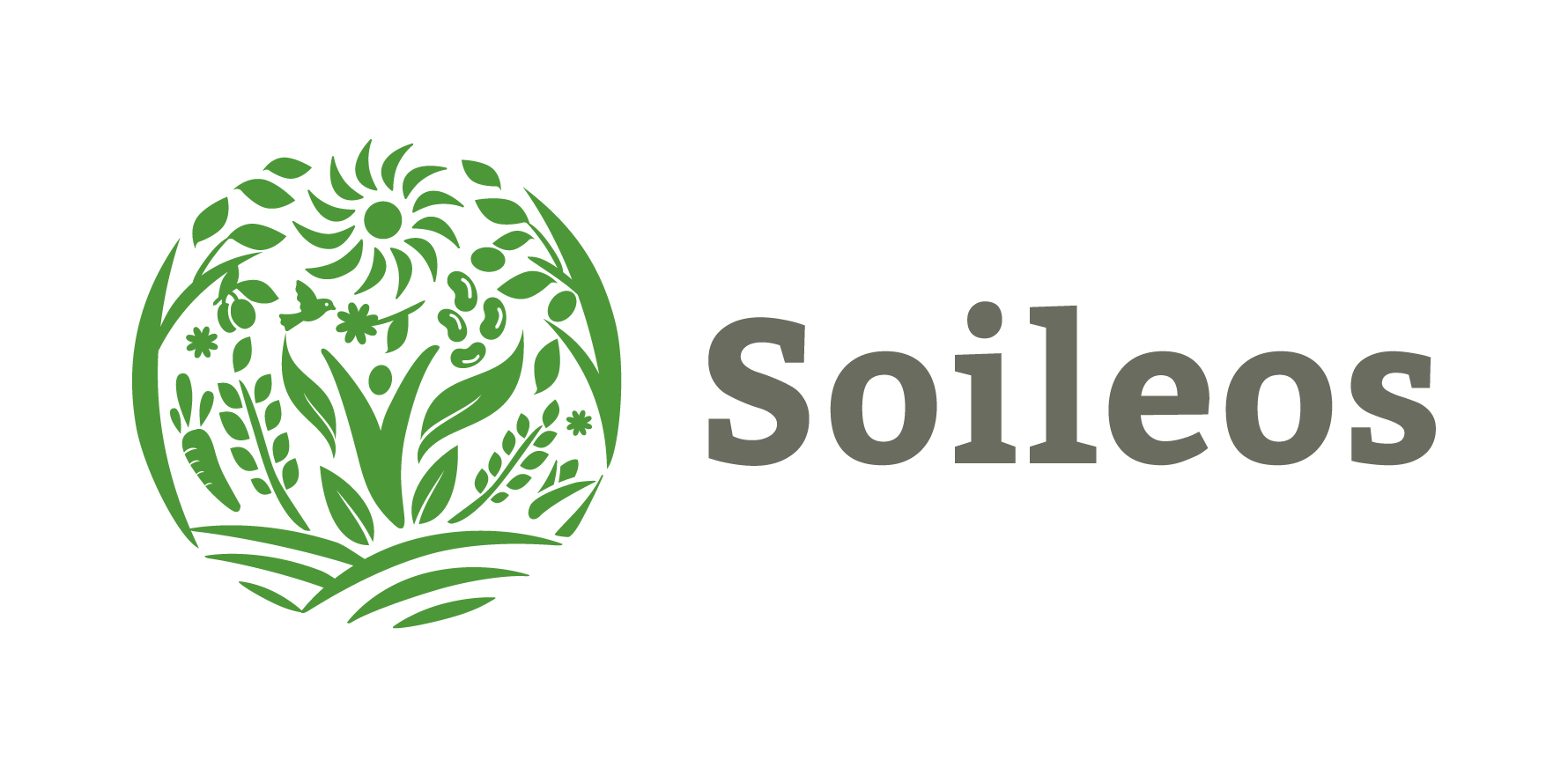 Soileos Logo. Hori Rgb