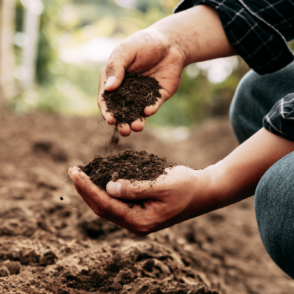 Hands In Soil (2)