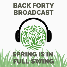 Peb 3 Spring Is In Full Swing